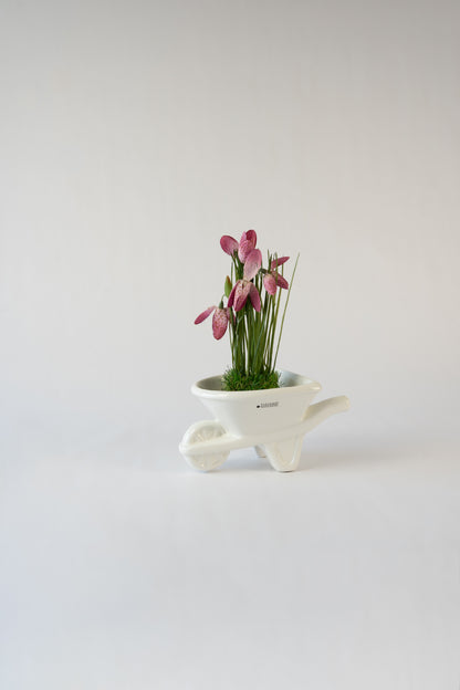 Dekoset blumige Zwergenidylle rosa