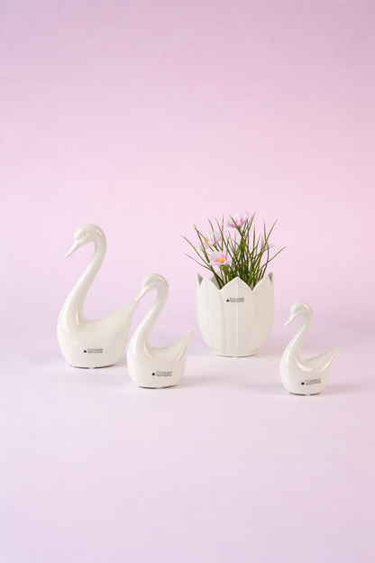 Dekoset Schwanengesang