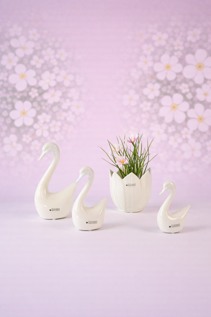 Dekoset Schwanengesang