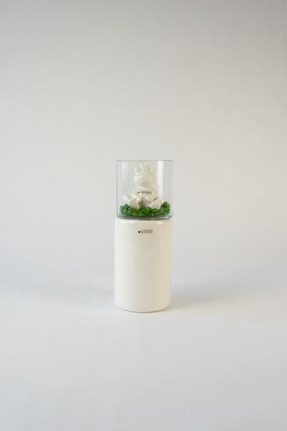 Dekoset Frühlingsharmonie L