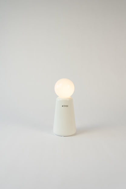 Dekoset Vogel Splendido L+Vase Luminara mit LED Birne