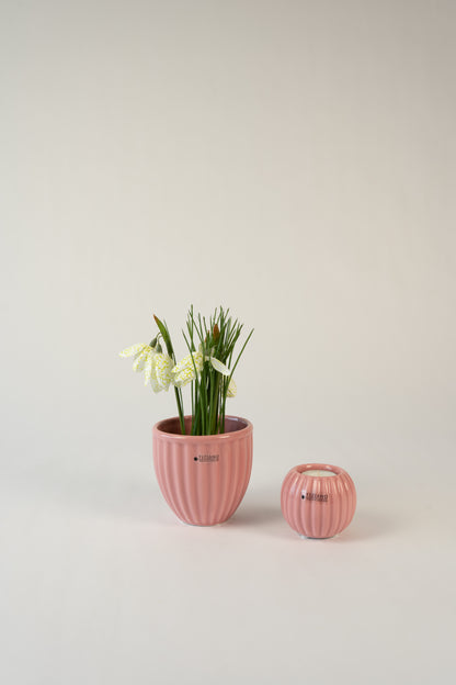 Dekoset Vogelgezwitscher rosa