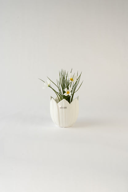 Dekoset Schwanengesang L