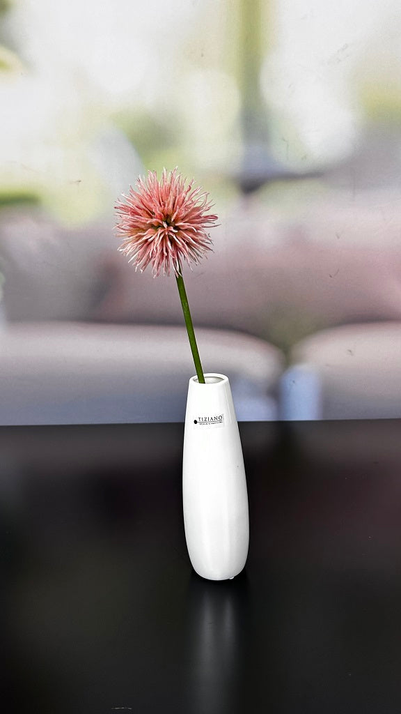 Allium orange