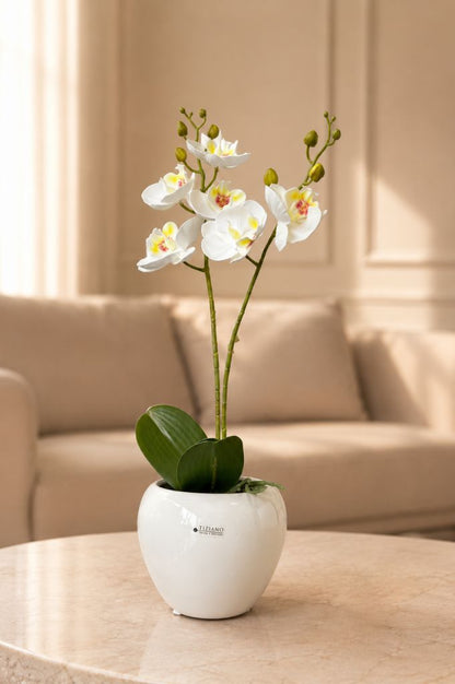 Kübel Ascona creme