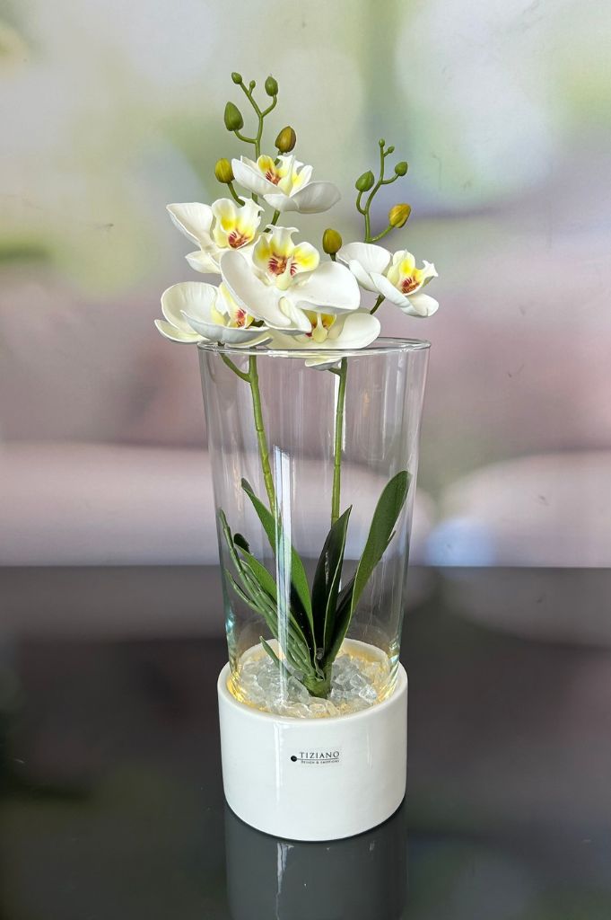 Dekoset Windlicht Laterna LED mit Vase Carnia und Orchidee