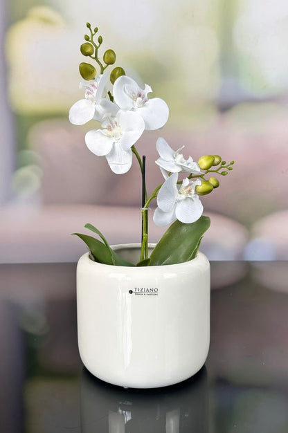 Orchideenkübel Bellagio 14cm creme-weiß
