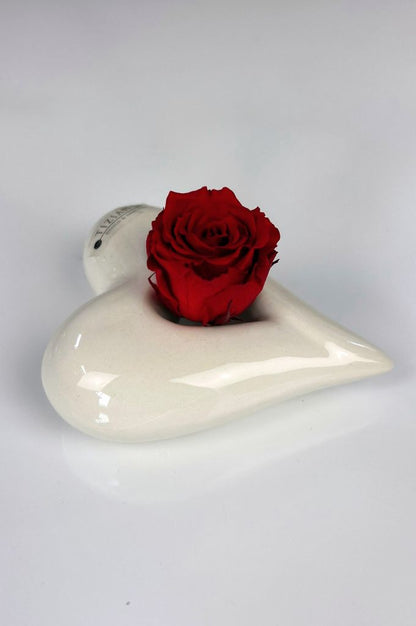 Dekoset Herz Belvina 11,5 liegend mit Infinity Rose rot