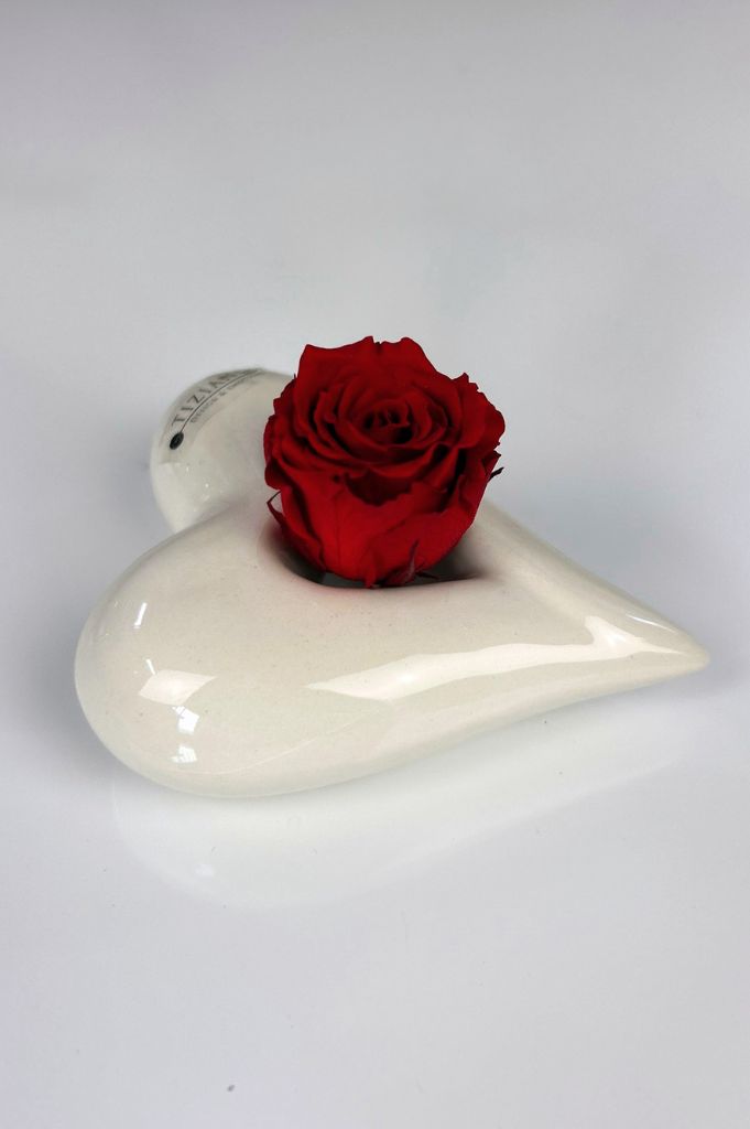 Dekoset Herz Belvina 11,5 liegend mit Infinity Rose rot