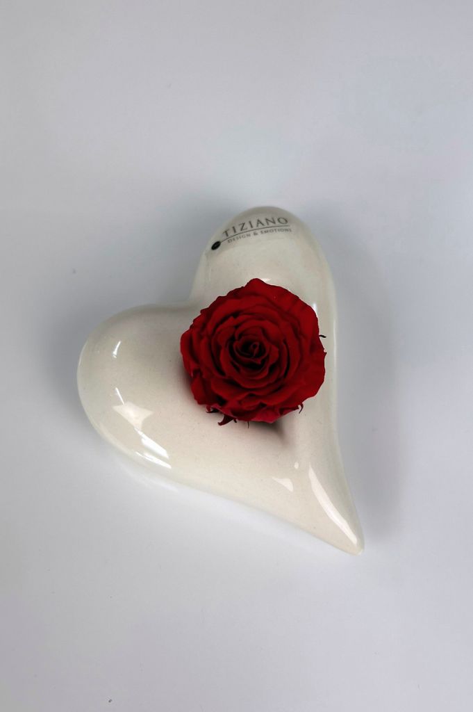 Dekoset Herz Belvina 11,5 liegend mit Infinity Rose rot