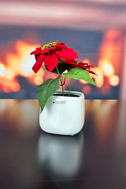 Kübel Brezone creme