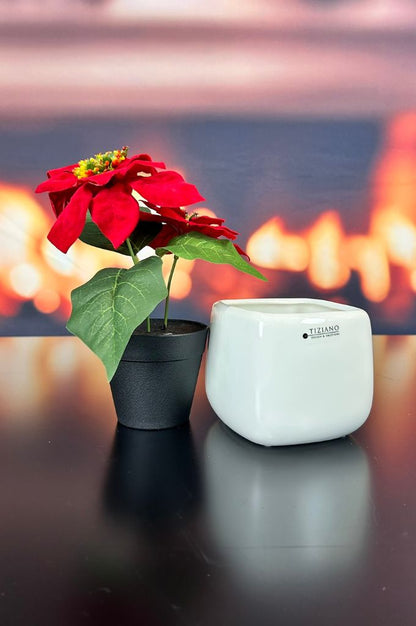 Kübel Brezone creme