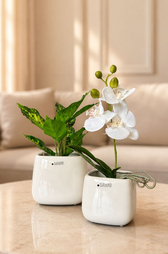 Kübel Brezone creme