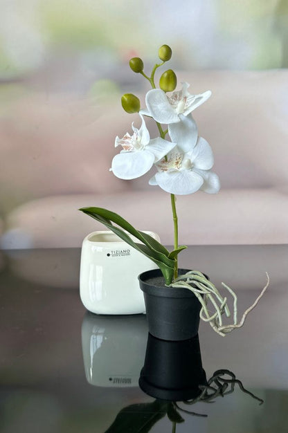 Kübel Brezone creme
