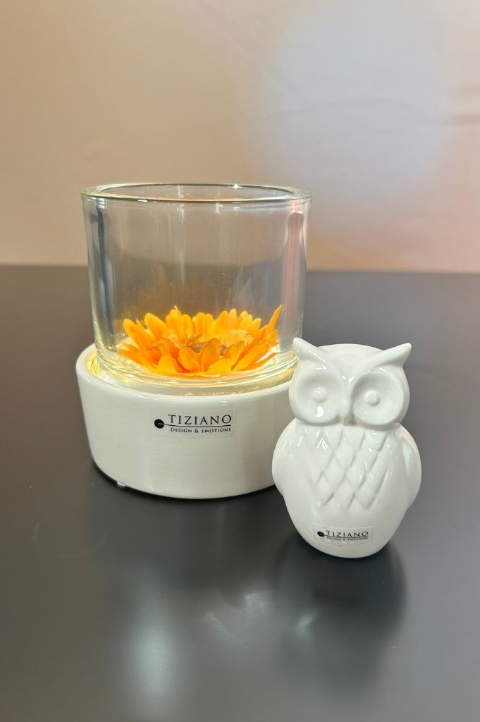 Dekoset Castello mit Eule Aurelia creme-weiß