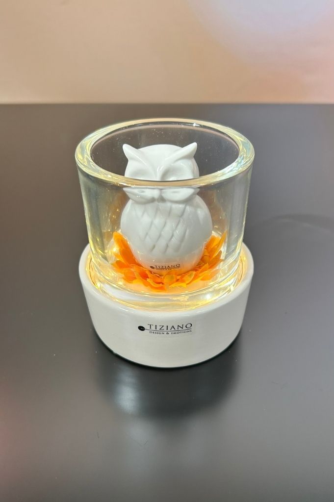 Dekoset Castello mit Eule Aurelia creme-weiß