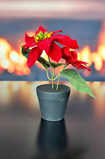 Deko Christstern rot im Topf