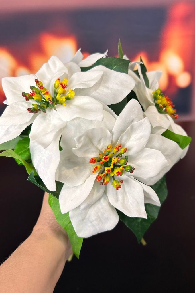 Deko Christstern Bündel weiß