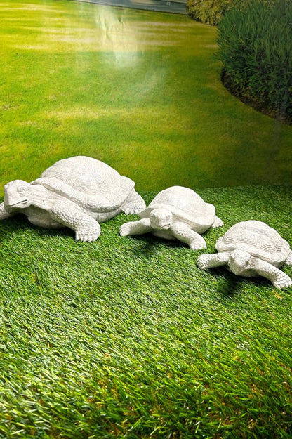 Clio Schildkröte