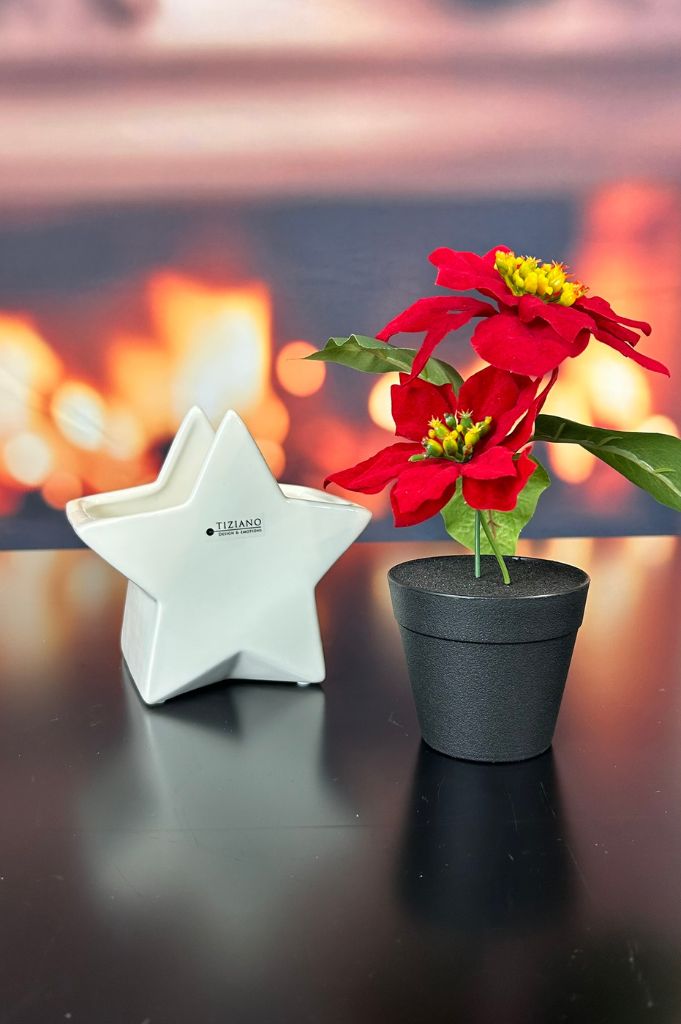 Kübel Cometa creme-weiß