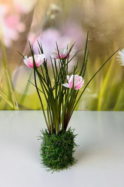 Deko Cosmea auf Grassockel farbig