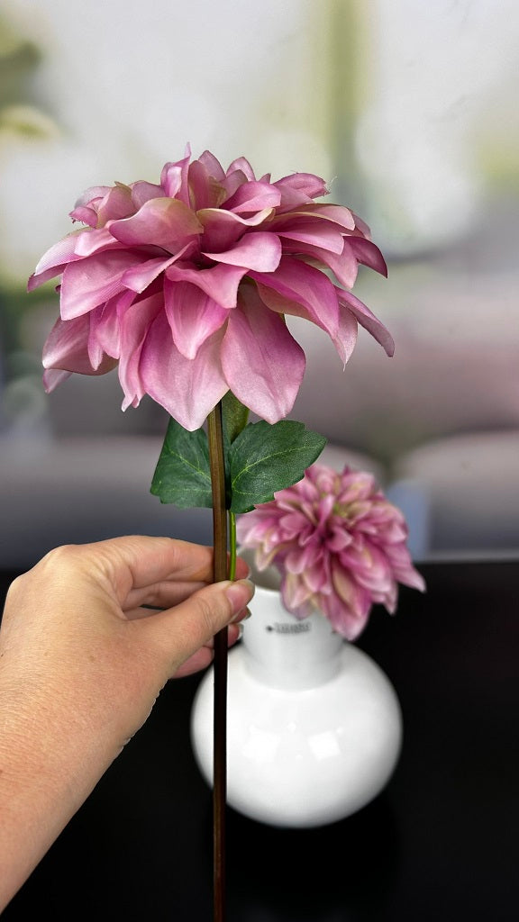 Dahlie fuchsia