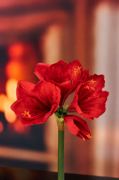 Deko Amaryllis 75cm rot Real touch