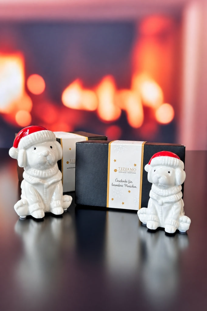 Deko Hund Rocky mit roter Mütze in Geschenkkarton