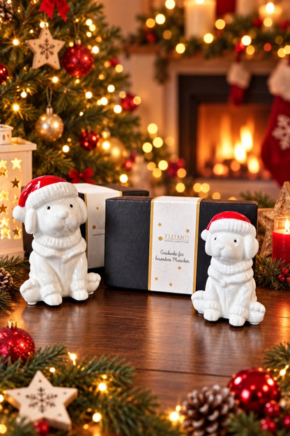 Deko Hund Rocky mit roter Mütze in Geschenkkarton