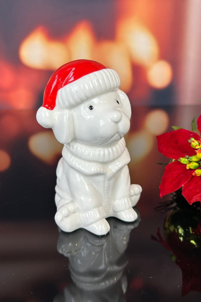 Deko Hund Rocky mit roter Mütze in Geschenkkarton