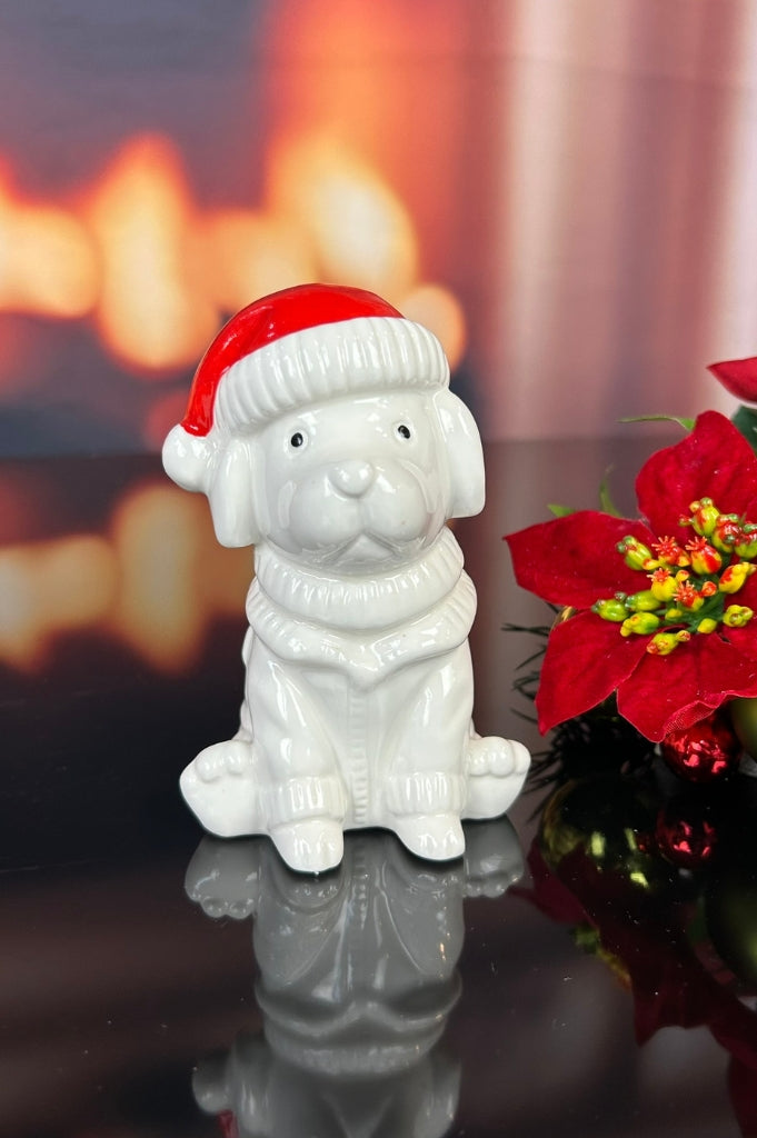 Deko Hund Rocky mit roter Mütze in Geschenkkarton