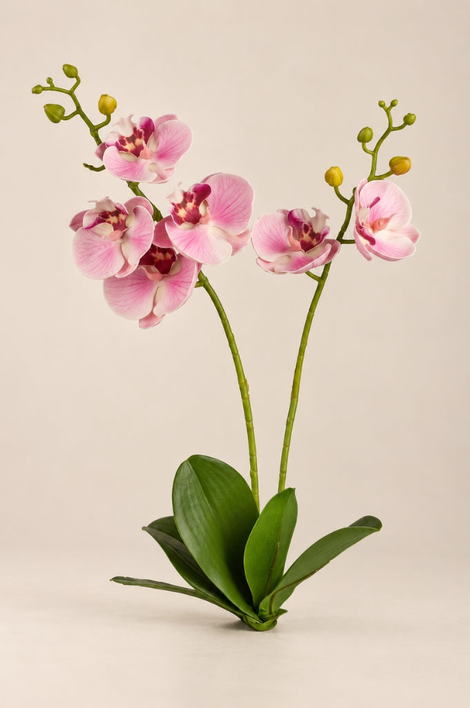 Deko Orchidee 55cm rosa