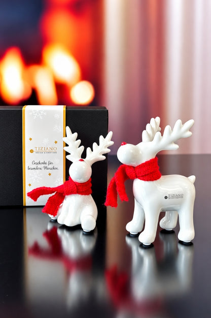 Deko Rentier Rudolph 2fach sortiert in Geschenkkarton