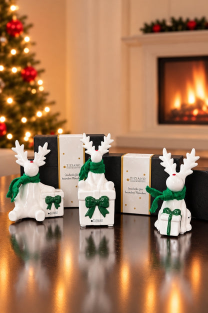 Deko Rentier Rudolph mit Geschenk grün in Geschenkbox