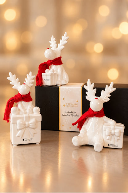 Deko Rentier Rudolph mit Geschenk im Geschenkkarton