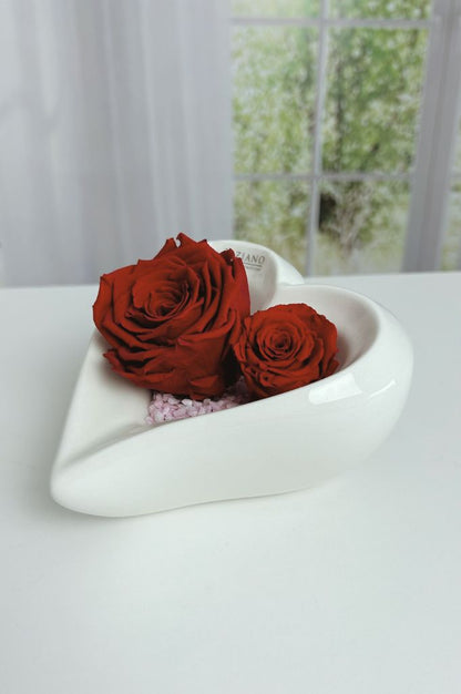 Dekoset-Schale-Cuora-tief-Infinity-Rosen-rot