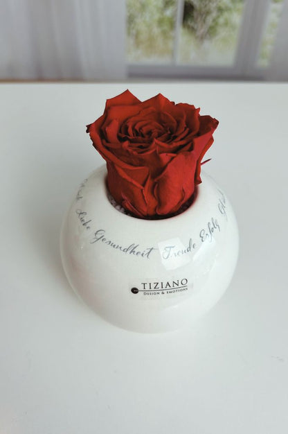 Dekoset-Teelicht-Dolomiti-mit-Infinity-Rose-rot