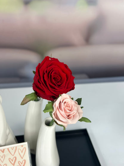 Dekoset Metallschale Legri 40+ Aurelia+Torano mit Rosen