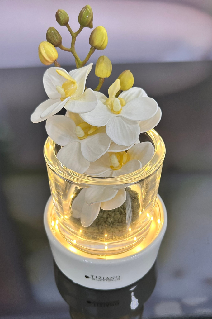 Dekoset Windlicht Castello LED mit Orchidee