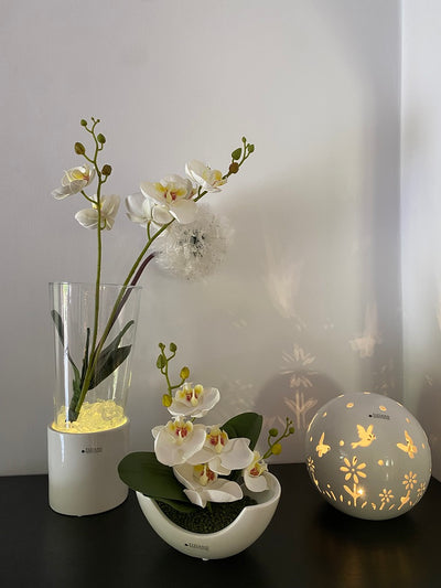 Dekoset Windlicht Laterna+Schale Piceno+LED Polline