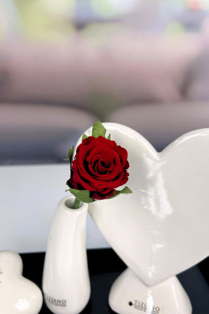 Dekoset Metallschale Legri+Torano mit Rose rot+Herz Amato