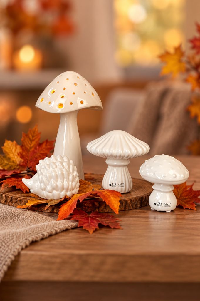 Dekoset Pilz Niara LED+Igel Max+Pilz Ostuni
