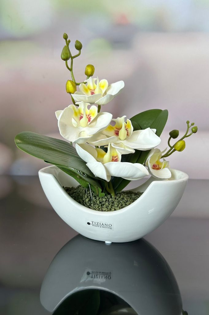 Dekoset Schale Piceno mit Orchideendeko