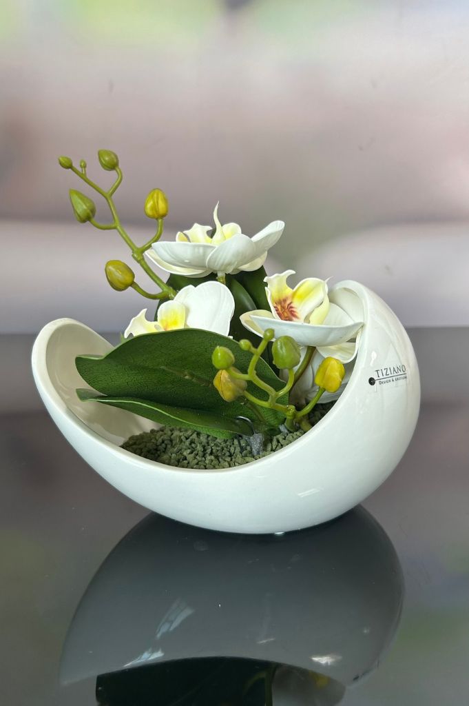 Dekoset Schale Gazo mit Orchideendeko