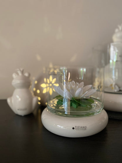 Dekoset Windlicht Forlie mit Seerose