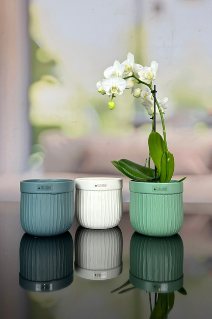Orchideenkübel Formello in 3 Farbvarianten matt