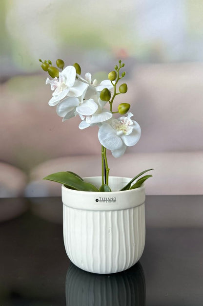 Orchideenkübel Formello in 3 Farbvarianten matt