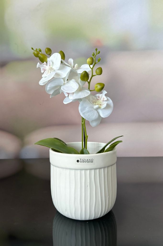 Orchideenkübel Formello in 3 Farbvarianten matt