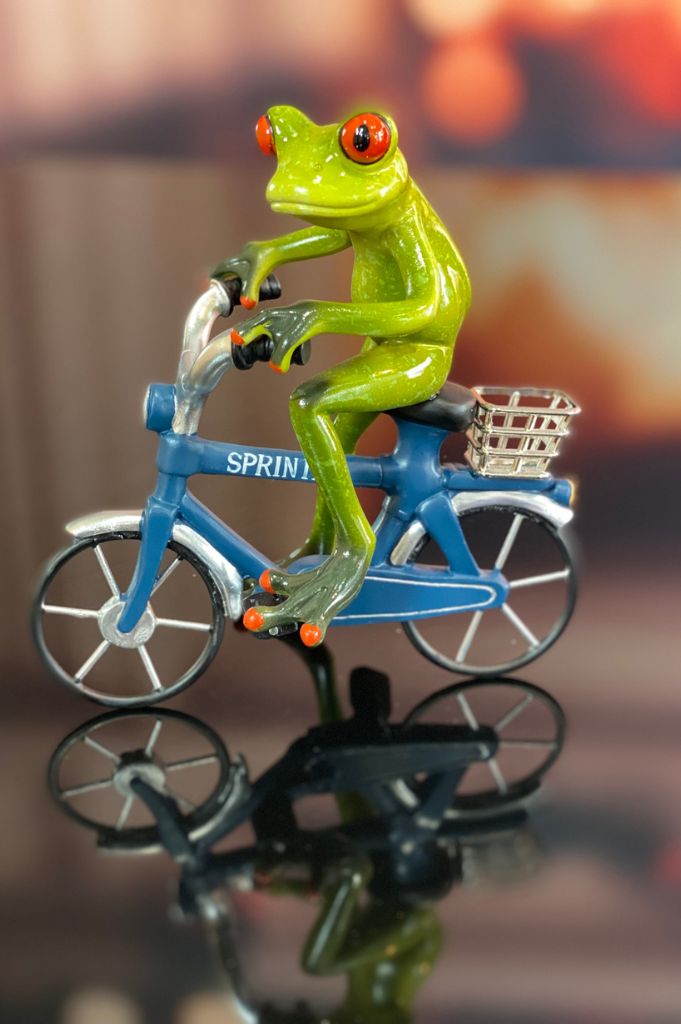 Deko Frosch Fridolin hellgrün auf Fahrrad