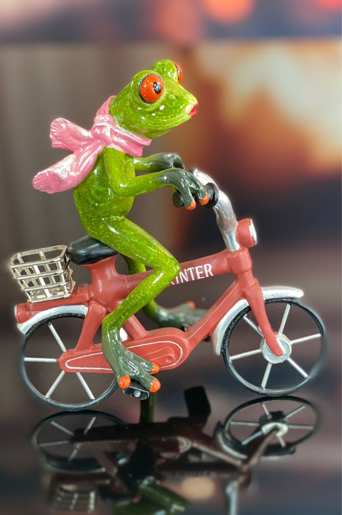 Würfelbox Für Dich mit Frosch auf Fahrrad